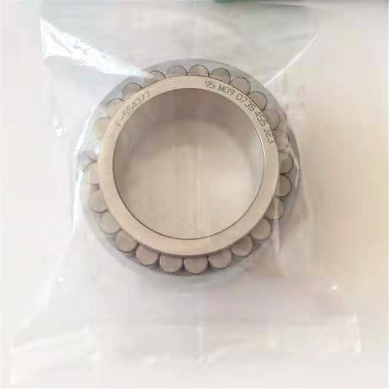 Hydraulic pump bearing F-554377 Double Row Cylindrical Roller Bearing F-554377